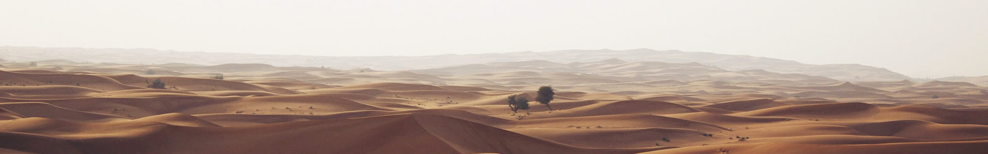 ɽعеƼ޹˾